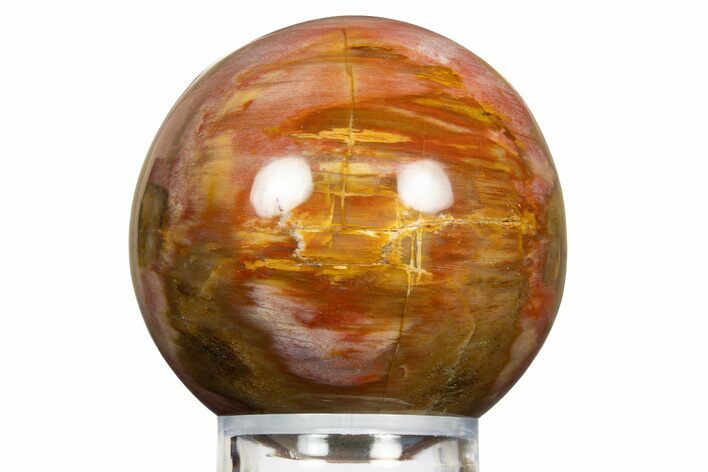 Colorful Petrified Wood (Araucaria) Sphere - Madagascar #323599
